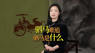 「一言既出，駟馬難追」，駟馬，到底是什麼馬？