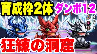 【育成枠2体】狂練の洞窟 ダンボ12周回編成・立ち回り紹介！！【ガンダムコラボ】【パズル\u0026ドラゴンズ】