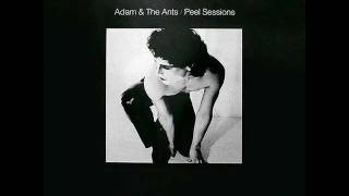 ADAM AND THE ANTS tabletalk (Peel Session) 1979