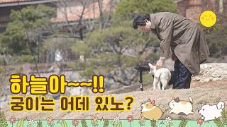 [하늘궁스케치] 하늘이와 궁이는 전생에 나라를 구했나? 강아지들 축복받았네 ㅎㅎ