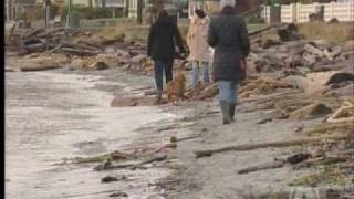 Heavy Rain Wreaks Havoc