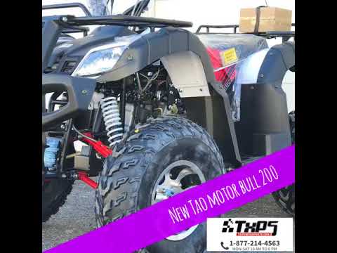 New Tao Motor Bull 200 - YouTube