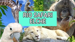 RECORRIDO RÍO SAFARI ELCHE 🐒 🦁 || Vlog