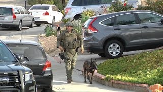 Santa Clarita deputies search Saugus neighborhood for vehicle theft suspect