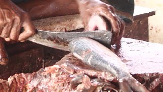 ইলিশ মাছ Hilsa (ilish) Fish Cutting | Fish Cutting In Sonaimuri Bazar Bangladesh