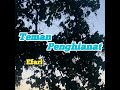 teman penghianat