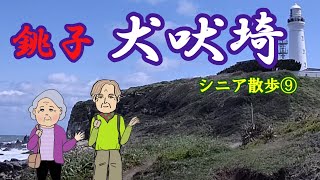 【銚子】犬吠埼灯台とドーバーラインと海鮮丼　シニア散歩⑨