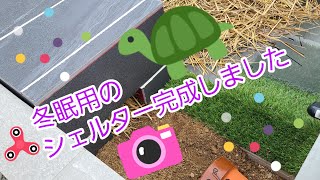 【カブトニオイガメ】冬眠用のシェルターを作りました🐢