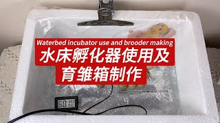 水床孵化器使用及育雏箱制作 | Waterbed incubator use and brooder making#芦丁鸡#迷你鸡#minichecken#孵化