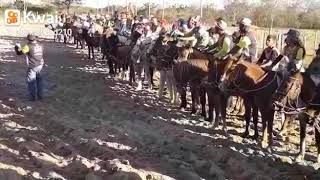 Cavalgada Santa Helena 2019 finalizando.