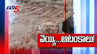 Special Focus On 1000 Pillars Temple Reconstruction Issue | Tirumala | TV5 News