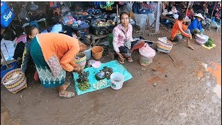 ลุยฝนในลาวใต้ EP23:ตลาดแลงดอนตะลาด เมืองจำปาสัก  สปป.ลาว