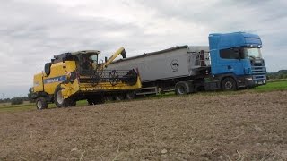 ◄Żniwa Rzepakowe 2016㋡►| New Holland TC5070|