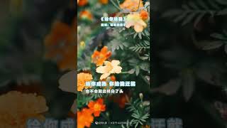 给你给我——北美下饭歌手