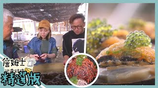 《精選:詹姆士棒的》澎湖海中珍寶!激甜馬糞海膽與海葡萄 北海岸九孔最大養殖場尋海鮮大拼盤