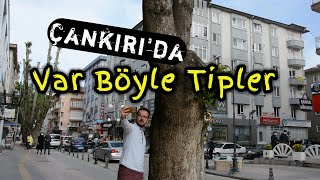 Çankırı'da Var Böyle Tipler!