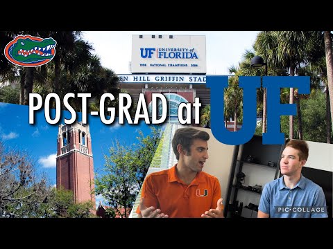 What programs is University of Florida known for?