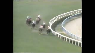 第１３回　高松宮杯　ハギノカムイオー　牡４　58　伊藤清章　1983.6.26　出走馬：イーストボーイ 、カズシゲ 、タカラテンリュウ、アリーナオー、メジロカーラ 、ホリノパーシア、アローボヘミアン他