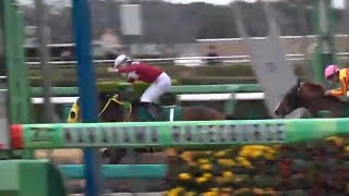 マーチステークス　1着ヴァルツァーシャル号（斎藤新騎手）2024年3月24日（日）中山競馬場