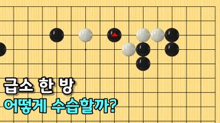 [공격과타개] 화점정석 이후 침투에 대한 대처방법(바둑강좌)