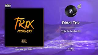 Diddi Trix - Trix Interlude |[ French Hip-Hop ]| 2023