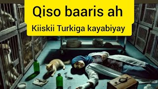 #Qiso baaris ah kiiskii Turkiga kayabiyay isbitalka xayawaanada @Hafsabilanqis