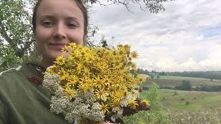 Ушла в лес с козами. Невозможно налюбоваться на такую красоту. Душа спокойна