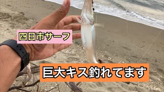 四日市サーフで巨大なキスが釣れました