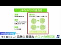 早く食べたいあなたに！追熟に最適なメロンの保存法