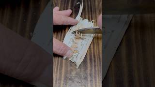 How To Process Birch Bark for Ferro Rod Ignition #shorts