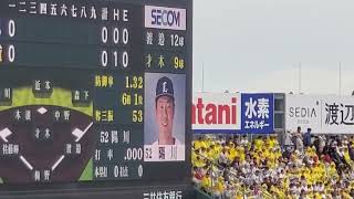 20240609　(古巣相手に)いいとこ見せろ！陽川コール　埼玉西武ﾗｲｵﾝｽﾞ　4回表　陽川尚将@阪神甲子園球場･ﾚﾌﾄ外野 日本生命ｾ･ﾊﾟ交流戦