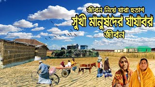 যমুনার চরের মাঝে সুখী মানুষদের যাযাবর জীবন | হাপানিয়া চরের সংগ্রামী মানুষের বেঁচে থাকার গল্প