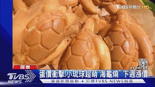 到小琉球必吃「海龜燒」!受蛋價衝擊下週漲價｜TVBS新聞@TVBSNEWS01