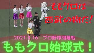 【球春到来】スタンドから見た「ももクロ玉井詩織さんの始球式」プロ野球開幕戦　埼玉西武ライオンズVSオリックスバファローズ戦