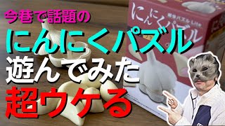 【にんにくパズル】笑っちゃう質感と面白さ。今巷で話題の新感覚パズルを試してみた。侮るなかれ、にんにくパズル。最高にウケるパズルだった。