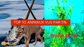 Top 10 espèces d'animaux moins connues