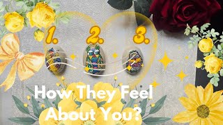 How Do They Feel About You?Your Person's thoughts and feelings🤍💛 Pick a Card Tarot Reading 💫TIMELESS