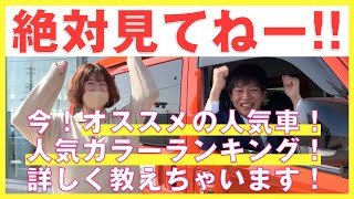 【人気車＆人気カラーご紹介！】石川ダイハツ販売で売れてる車はどれだ⁉｜石川ダイハツ販売｜新車｜普通車｜軽自動車｜車購入｜人気車種｜人気車｜人気カラー