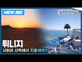 [✨NEW✨걸어서세계속으로📺] 아프리카의 보석 '튀니지' 여행 Trip to Tunisia (KBS 20241026)