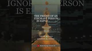 Divine Sayings of Imam Ali | Pearls of Speech Part 196