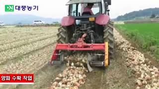 [대풍농기]땅속작물수확기(DP-1250W) 마늘,양파 수확 작업(Onion/Garlic Harvesting Machine)