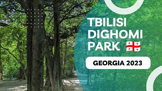 Walking In Dighomi Park • დიღმის ტყე