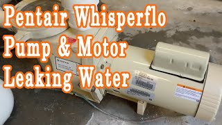 Pentair Whisperflo Motor And Shaft Seal Replacement