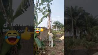 How to get papaya at trees #funny #viralshort #video 😆😂😂