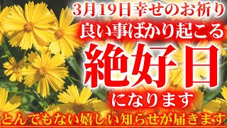 幸せを運ぶ可愛いお花です。3月19日朝の浄化祈願