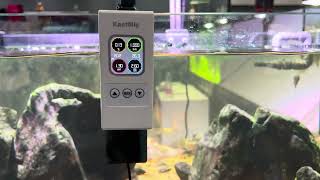 Kactoily 6-in-1 Fish Tank Water Tester \u0026 Monitor Working Record