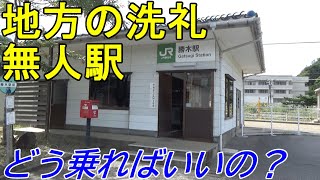 【羽越本線】無人駅・車内改札を利用＆夕暮れの上越新幹線【勝木→東京】＜だるま屋ウィリー事件現場検証の旅５・最終回＞