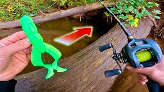 Un leurre étrange pour pêcher le plus gros poisson ?