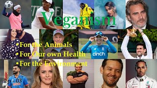 Veganism Part 3 | Why meat is bad for the environment? | Deforestation | Dairy vs. plant-based milk