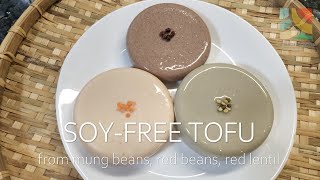 SOY-FREE TOFU